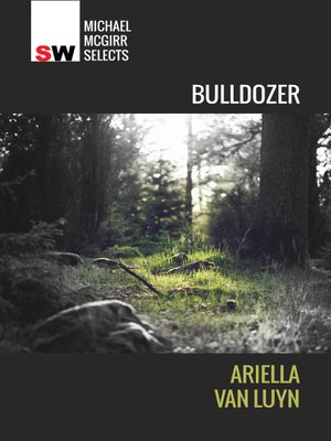 cover image of Bulldozer